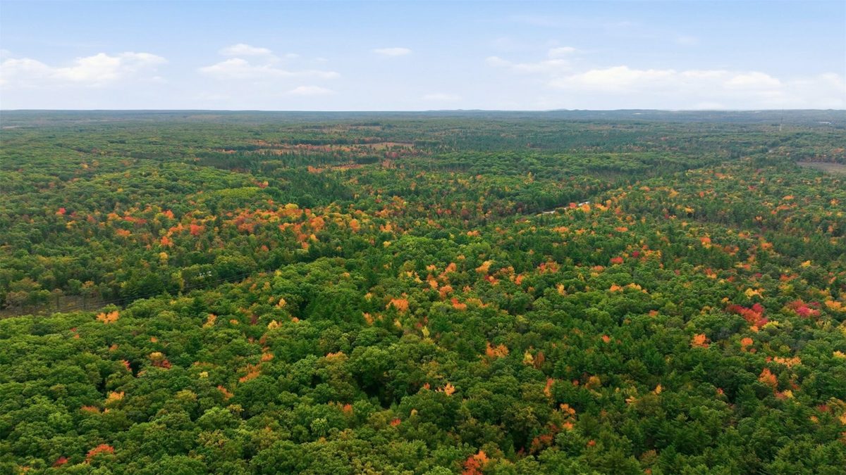 S10130 County Road H, Fairchild WI 54741 - Residential house for sale - MLS #1605513 - image30