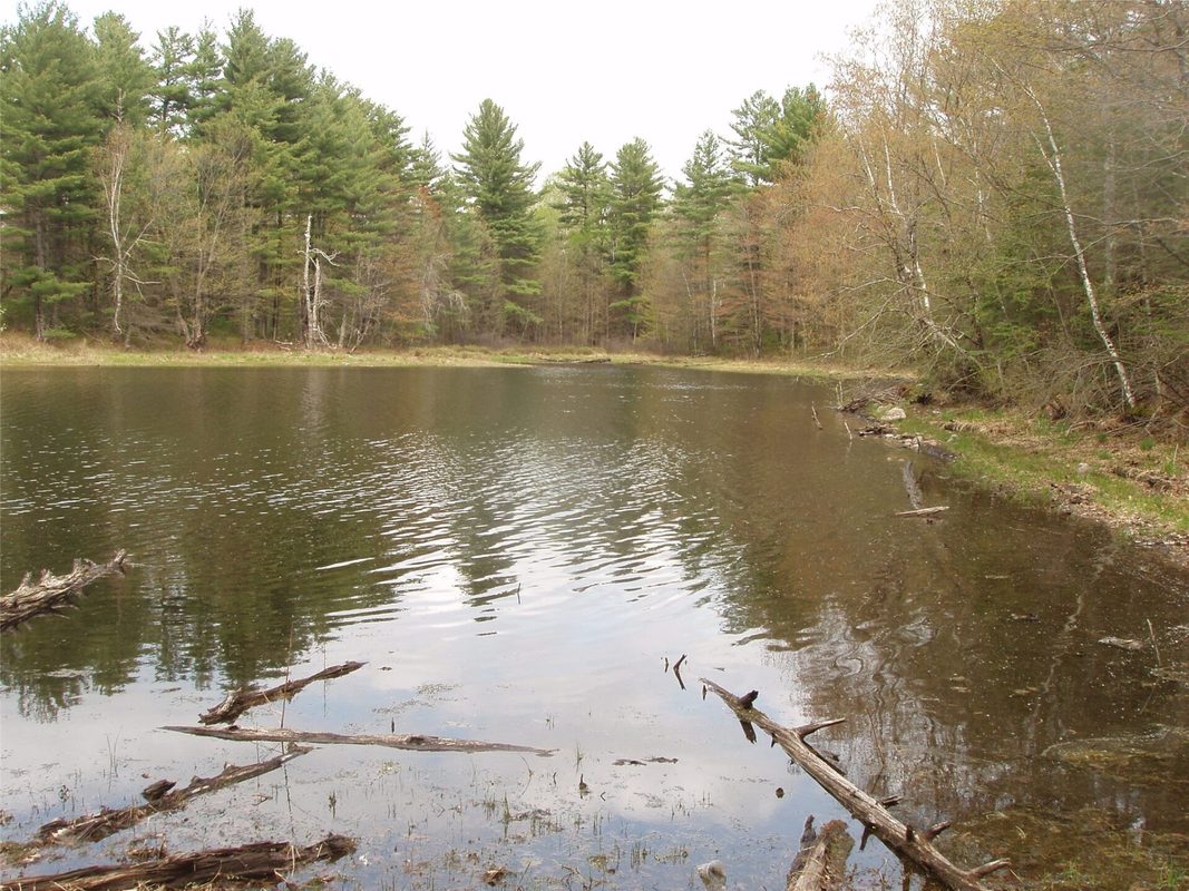 N16473 Patterson Lake Road, Park Falls WI 54552 - Land house for sale - MLS #1603551 - image9