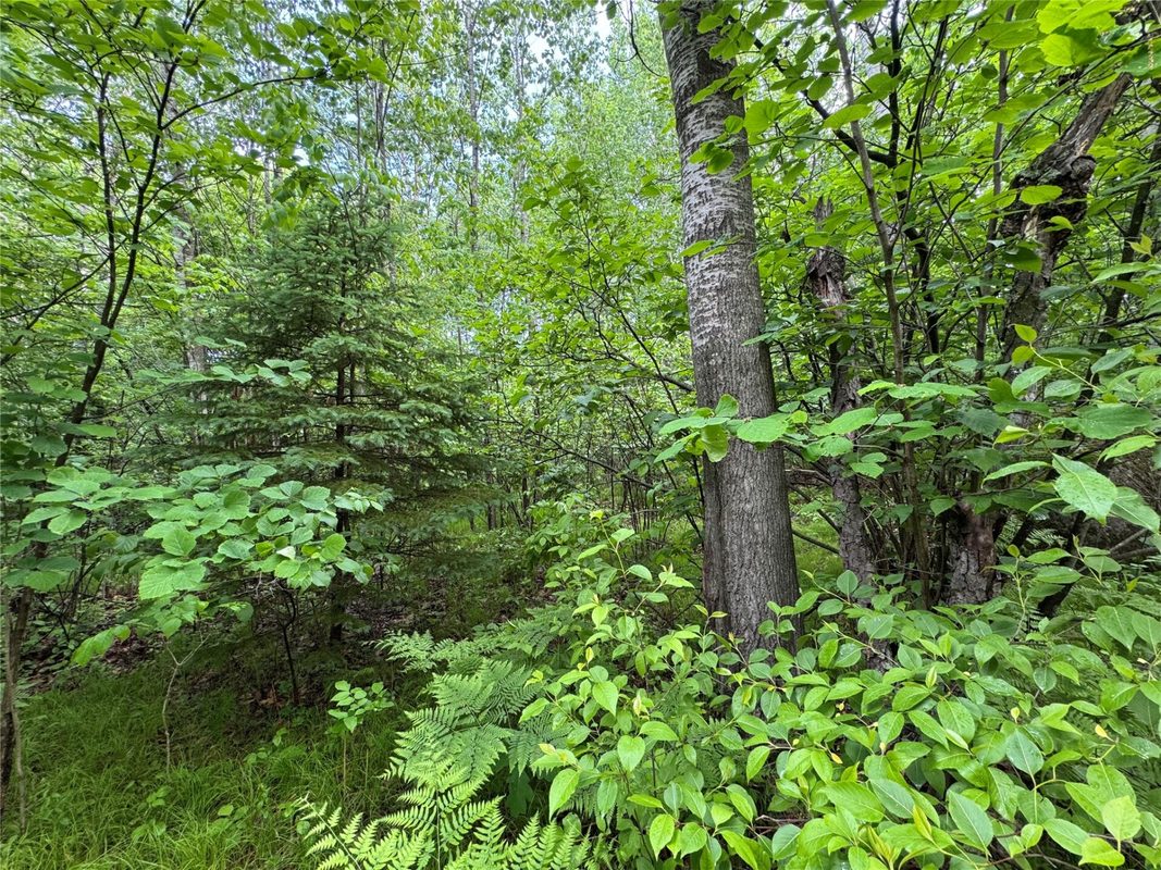 000 Boundary Road, Ringle WI 54471 - Land house for sale - MLS #1602183 - image10
