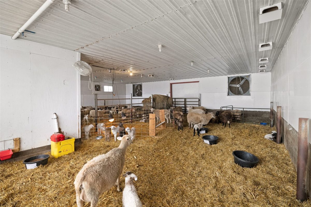 2435 50th Avenue, Elk Mound WI 54739 - Farm house for sale - MLS #1601900 - image35