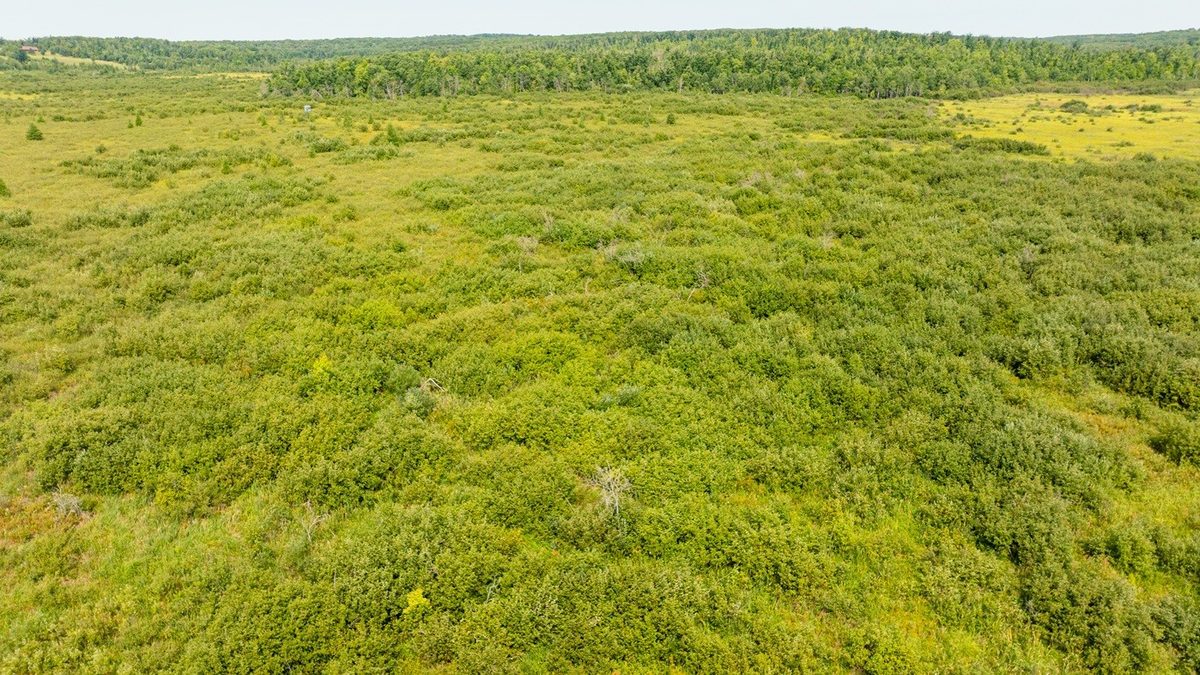 0 28th Street, Chetek WI 54728 - Land house for sale - MLS #1604329 - image28
