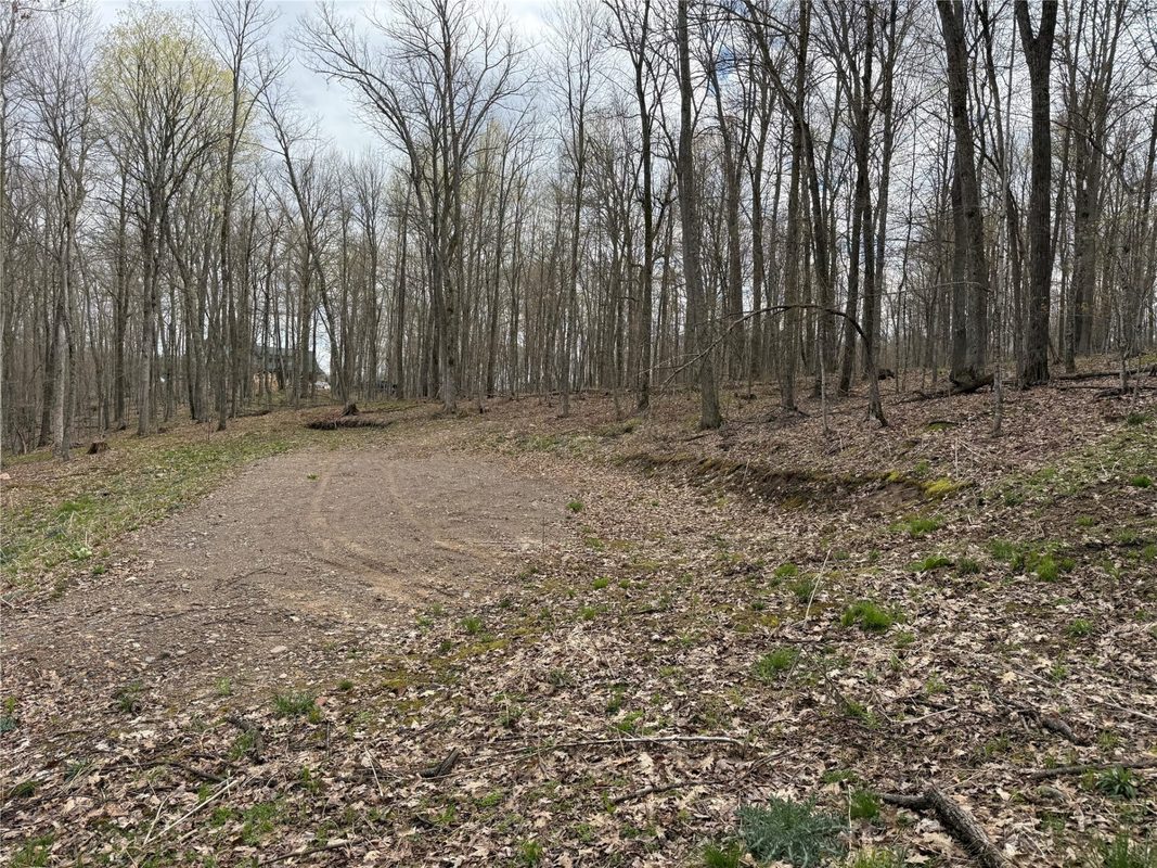 Lot 4 Balsam Drive, Birchwood, WI