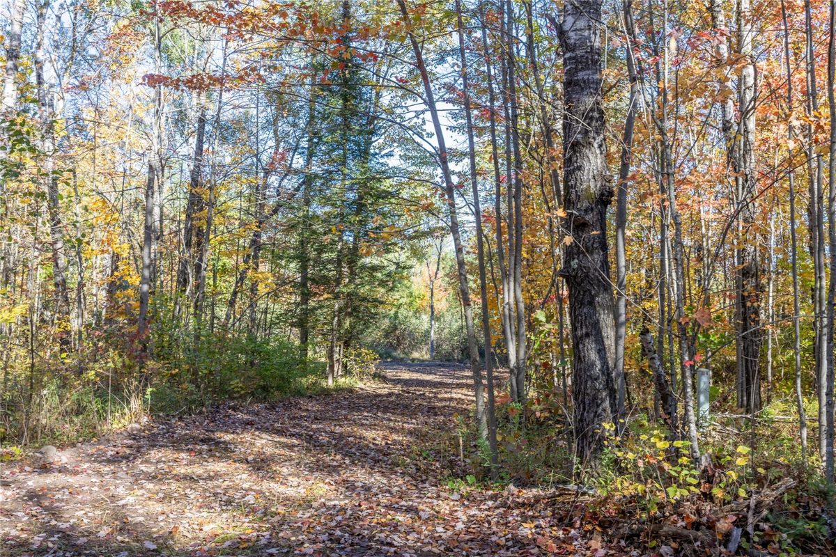 5 Acres Aggie Lane, Ladysmith WI 54848 - Land house for sale - MLS #1605699 - image4