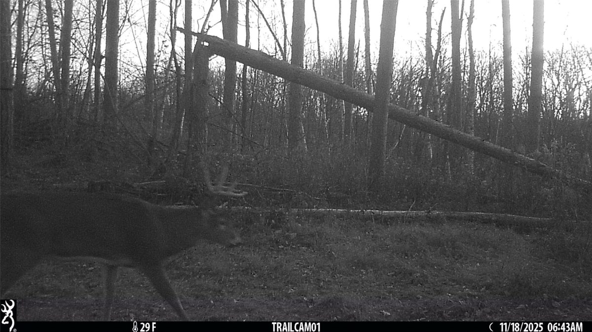 TBD 10 Acres Antler Lake Drive Milltown WI 54858 — photo 36