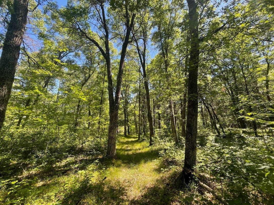 12997 Mail Road, Gordon WI 54838 - Residential house for sale - MLS #1602637 - image54