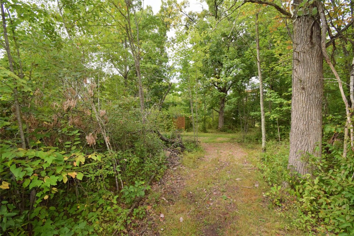 TBD State Highway 77, Danbury WI 54830 - Land house for sale - MLS #1604768 - image20