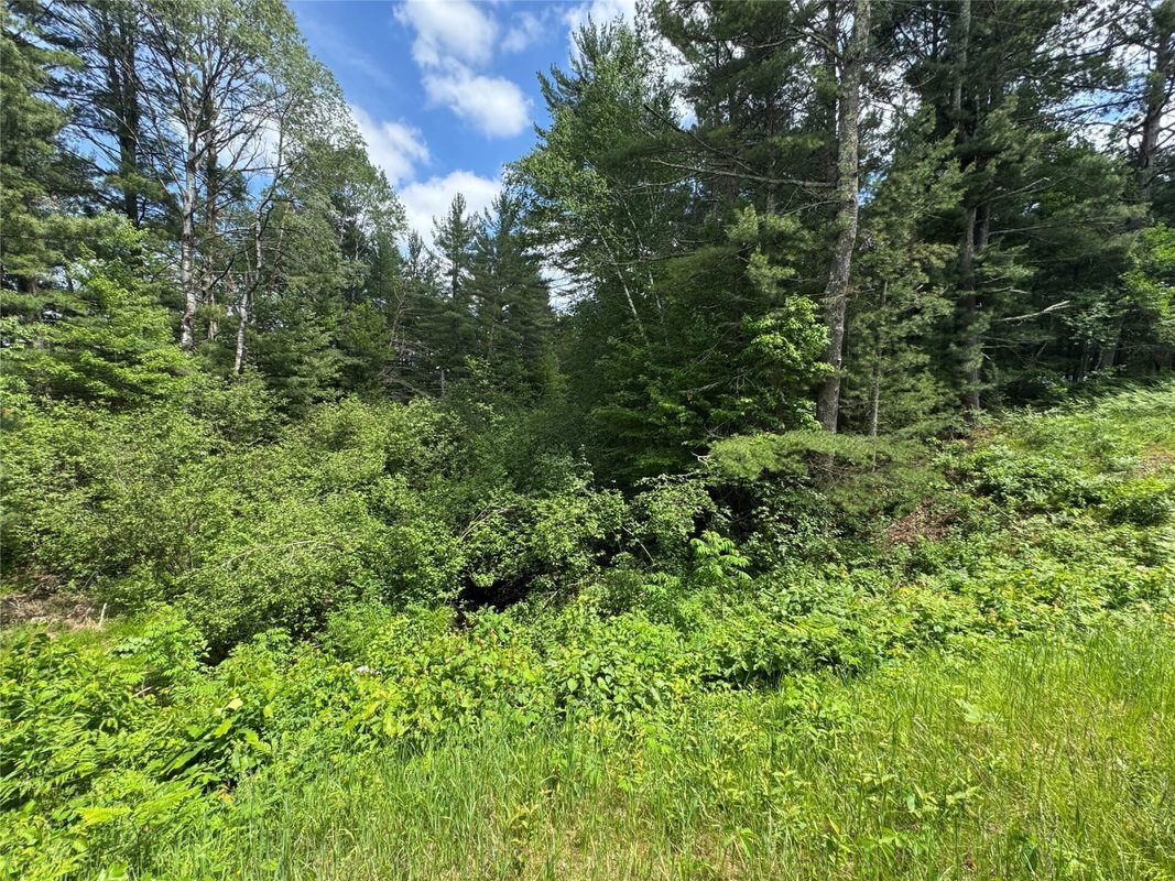N 6398 Fred Tripp Road, Springbrook WI 54875 - Land house for sale - MLS #1602077 - image5