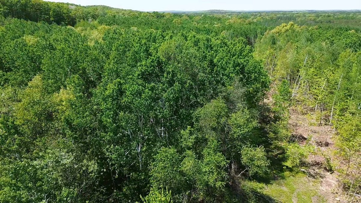 343X 5th Avenue, Spooner WI 54801 - Land house for sale - MLS #1601653 - image16