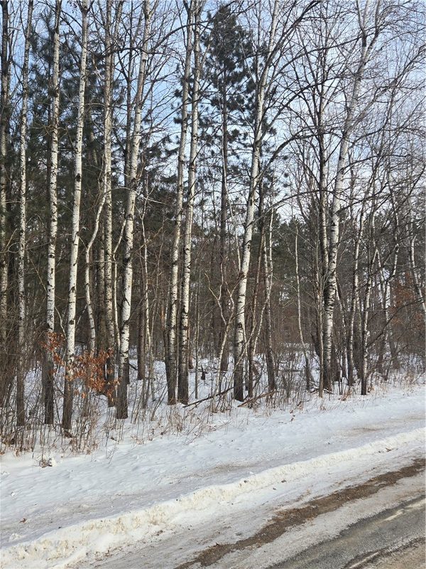 000 County Hwy G, Holcombe, WI — photo 5