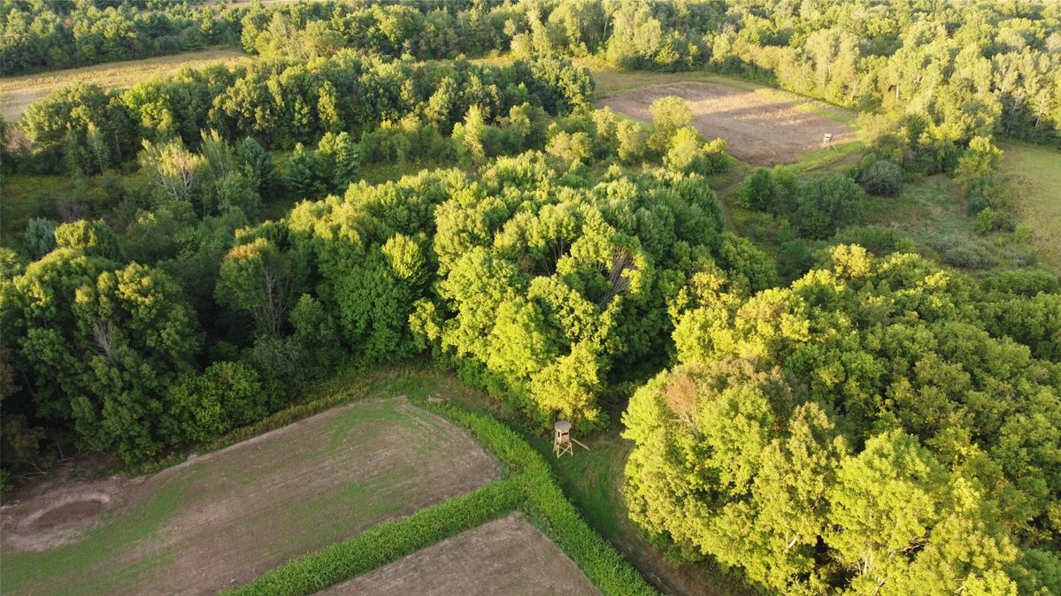 00 340th Avenue, Clam Falls WI 54837 - Land house for sale - MLS #1604779 - image12