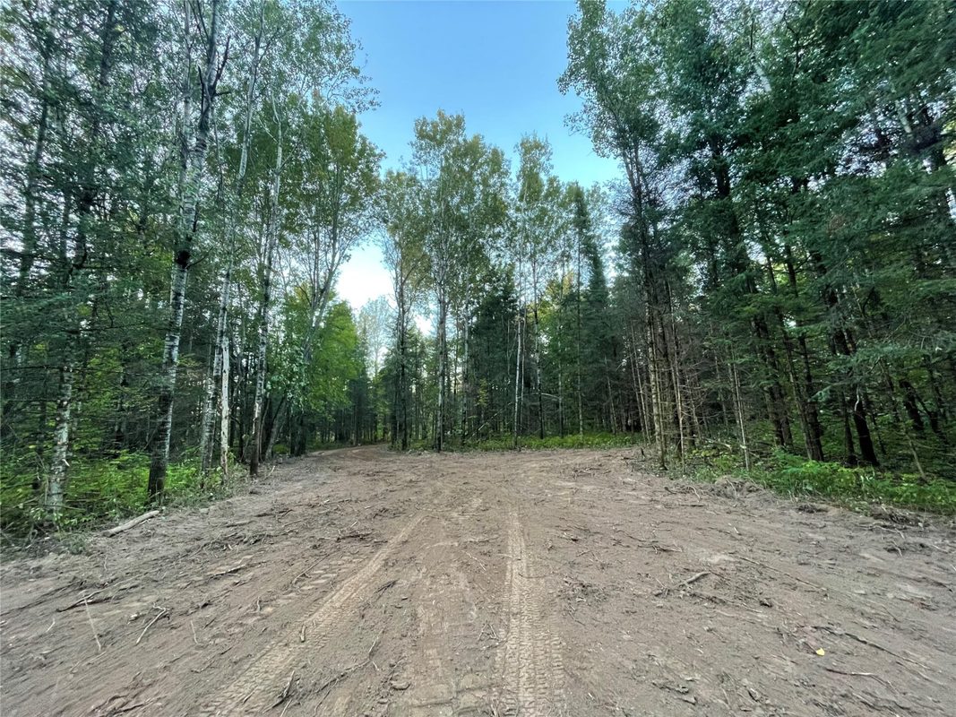 Lot 3 Fadness Road, Winter WI 54896 - Land house for sale - MLS #1605263 - image13