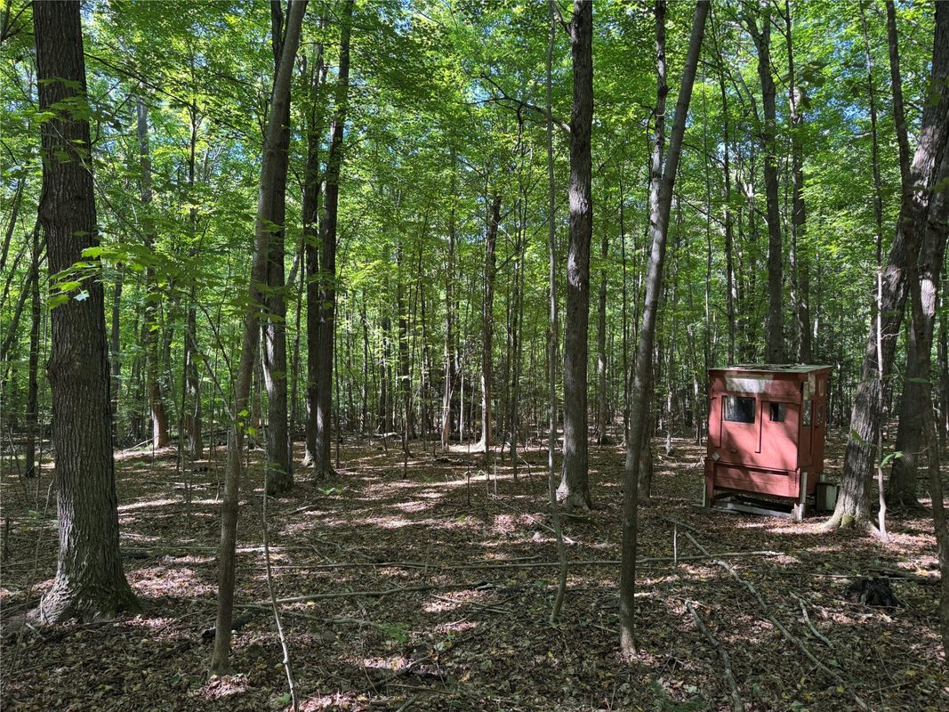 OOO County Road L, Merrill WI 54452 - Land house for sale - MLS #1605059 - image27