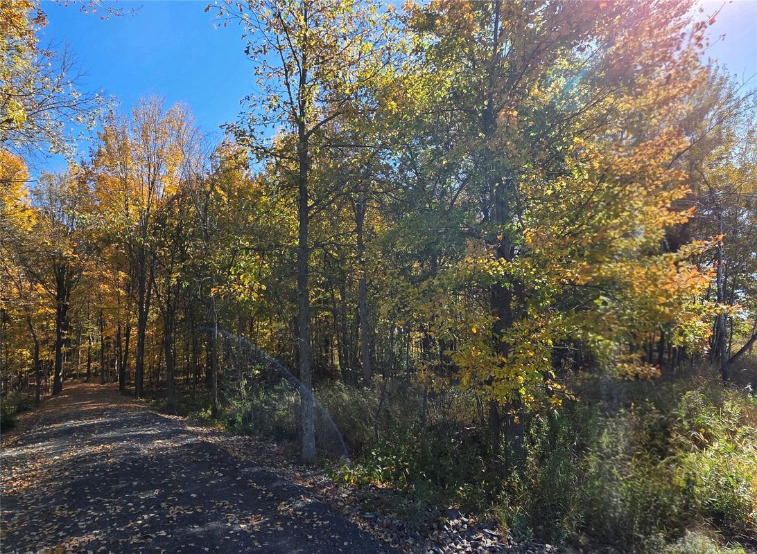 2541 County Hwy D, Boyd WI 54726 - Land house for sale - MLS #1605930 - image5