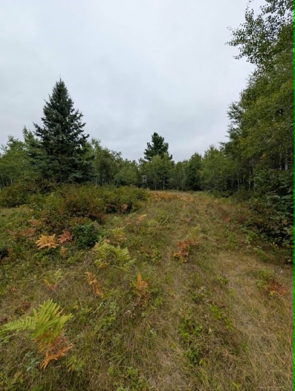 10501 County Hwy M Highway, Springbrook WI 54875 - Land house for sale - MLS #1604696 - image24