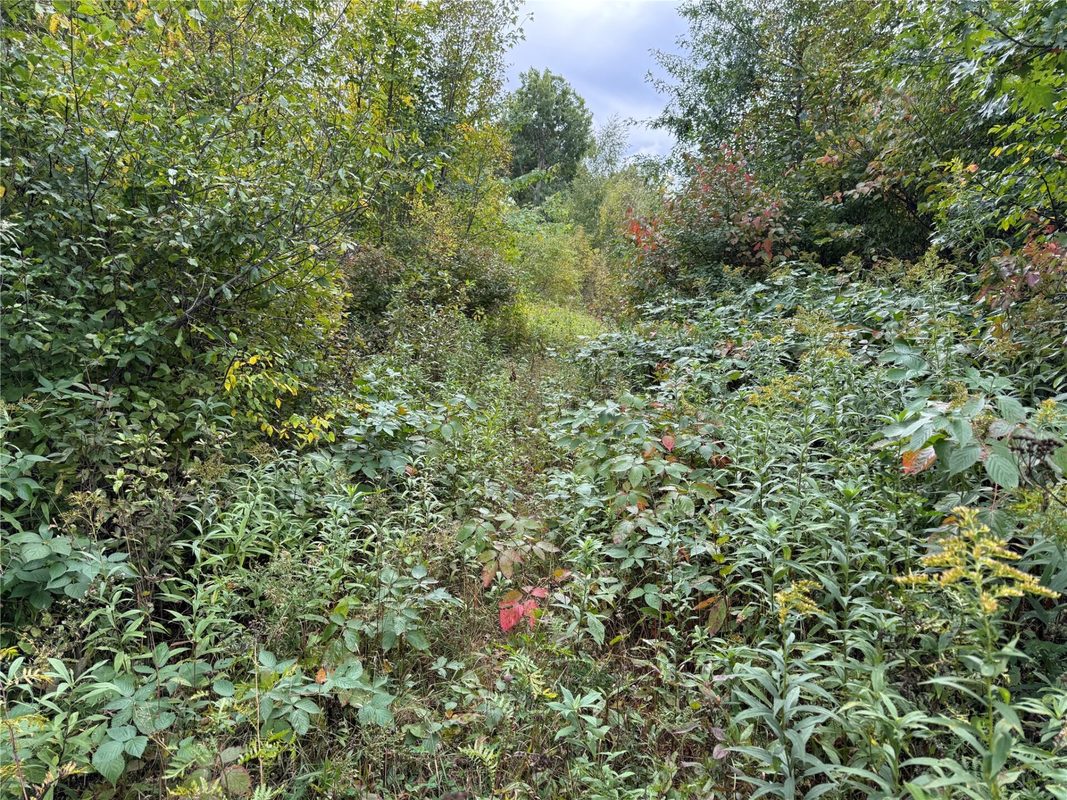 XXX 23 1/2 Street, Rice Lake WI 54868 - Land house for sale - MLS #1605312 - image31