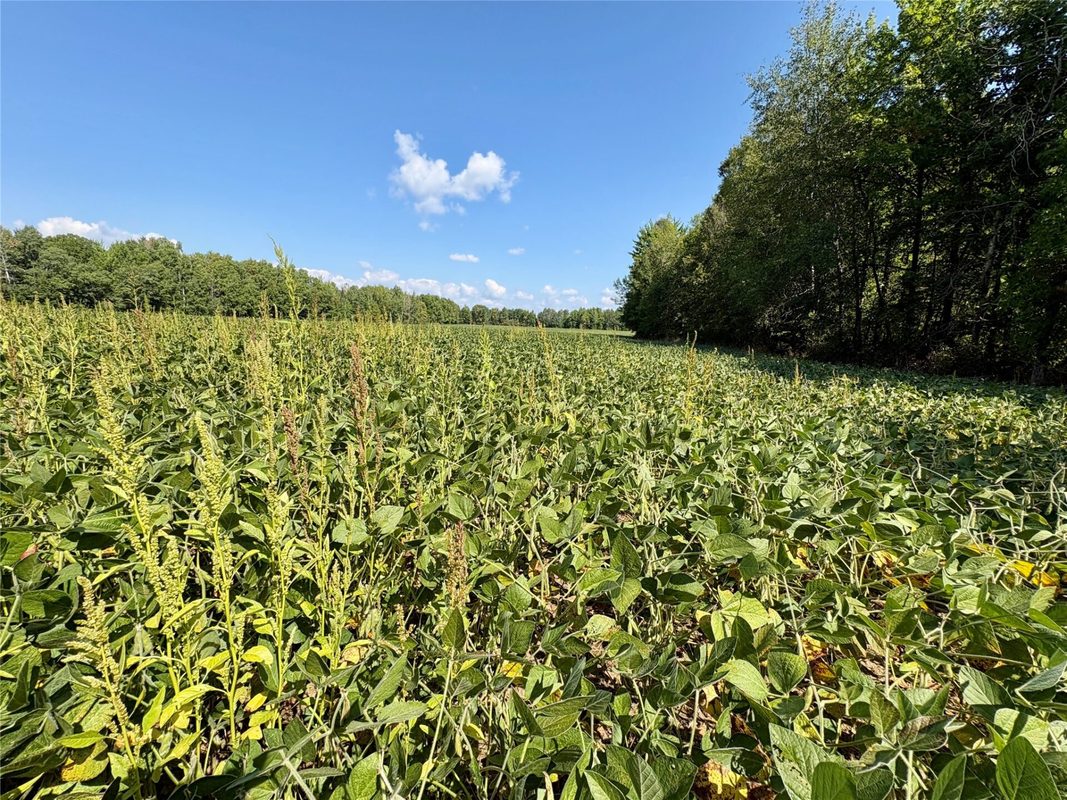 W16860 Cty Rd D, Sheldon WI 54766 - Land house for sale - MLS #1604631 - image28