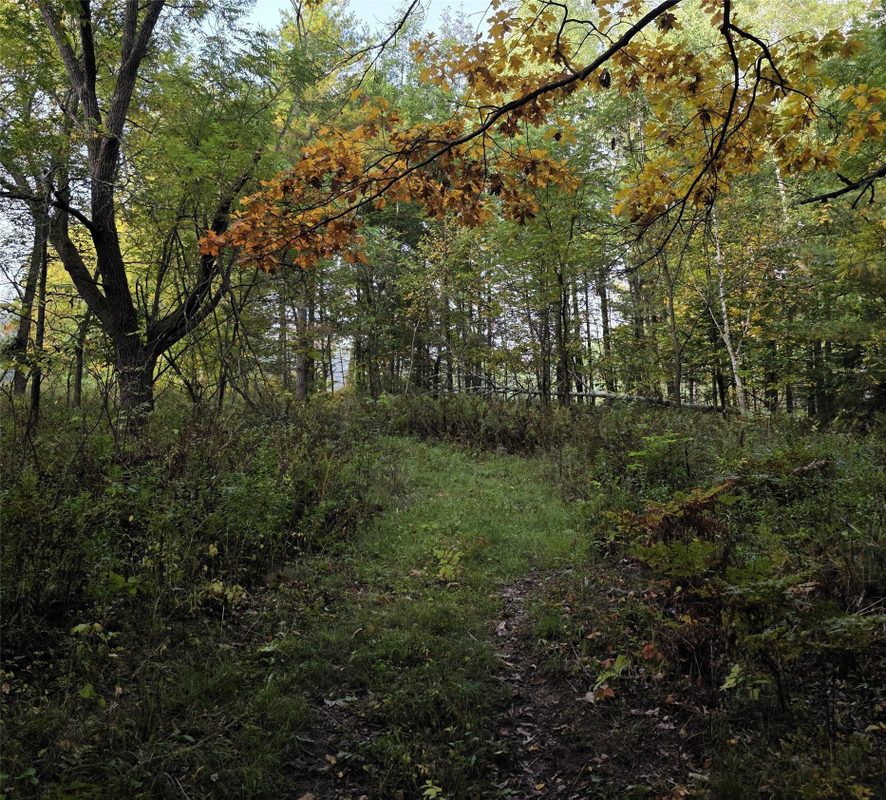 N 3368 Sawdust Rd., Bruce WI 54819 - Residential house for sale - MLS #1605552 - image28