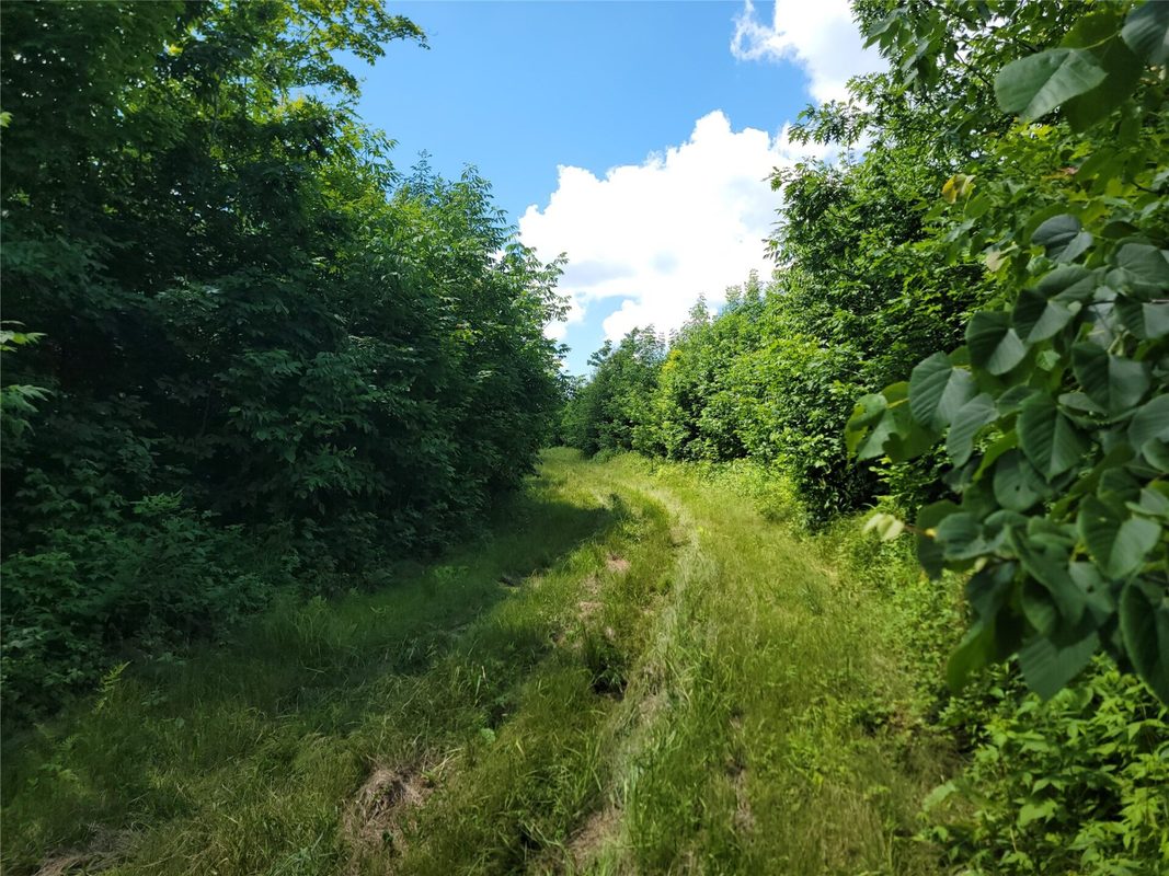 On County Road H, Radisson WI 54867 - Land house for sale - MLS #1603350 - image11