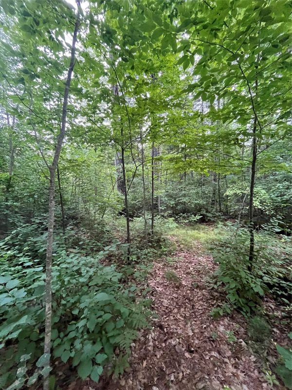 16876 Southview Trail, Stone Lake WI 54876 - Land house for sale - MLS #1599724 - image12