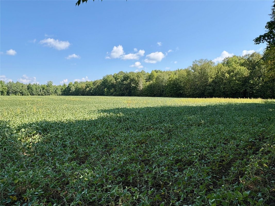 W16860 Cty Rd D, Sheldon WI 54766 - Land house for sale - MLS #1604631 - image31