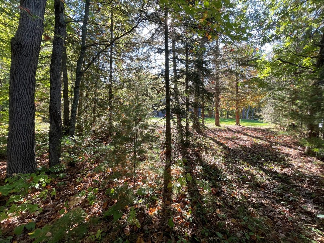 6073 Elsie Road, Stone Lake WI 54876 - Land house for sale - MLS #1602616 - image23