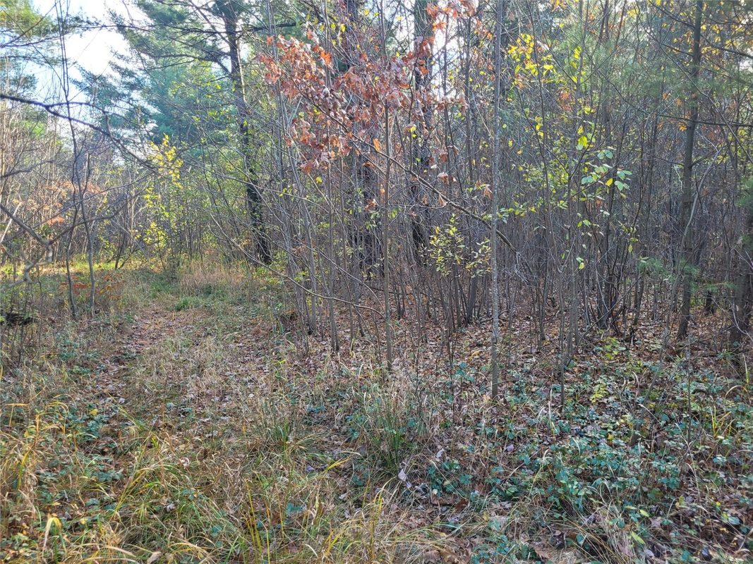 N10835 Kovar Road, Merrillan WI 54741 - Land house for sale - MLS #1606219 - image26