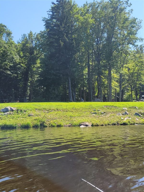 N899 Resewood, Neillsville WI 54456 - Land house for sale - MLS #1597252 - image25