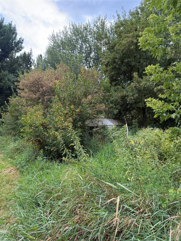 5956 County Hwy H, Stanley WI 54745 - Land house for sale - MLS #1604622 - image12