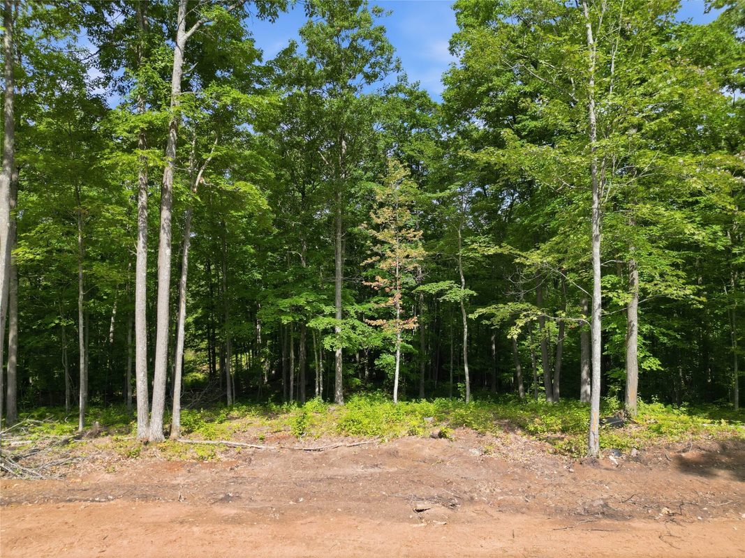 14358W County Highway E, Hayward WI 54843 - Land house for sale - MLS #1604653 - image4