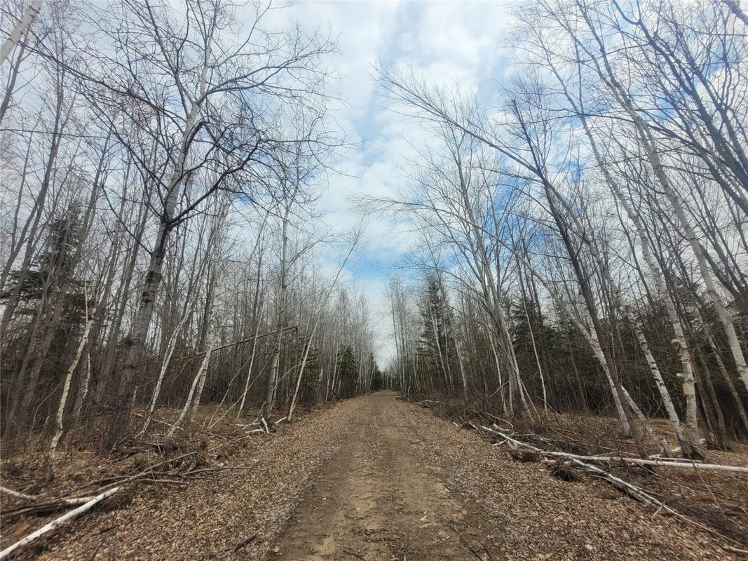On Dean Road, Ladysmith WI 54848 - Land house for sale - MLS #1605065 - image7