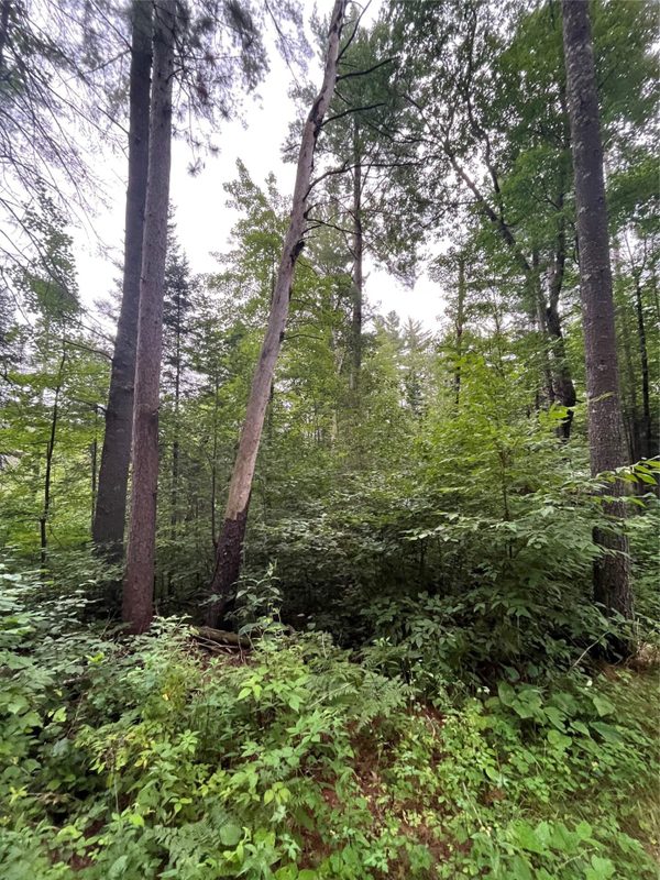 16876 Southview Trail, Stone Lake WI 54876 - Land house for sale - MLS #1599724 - image21