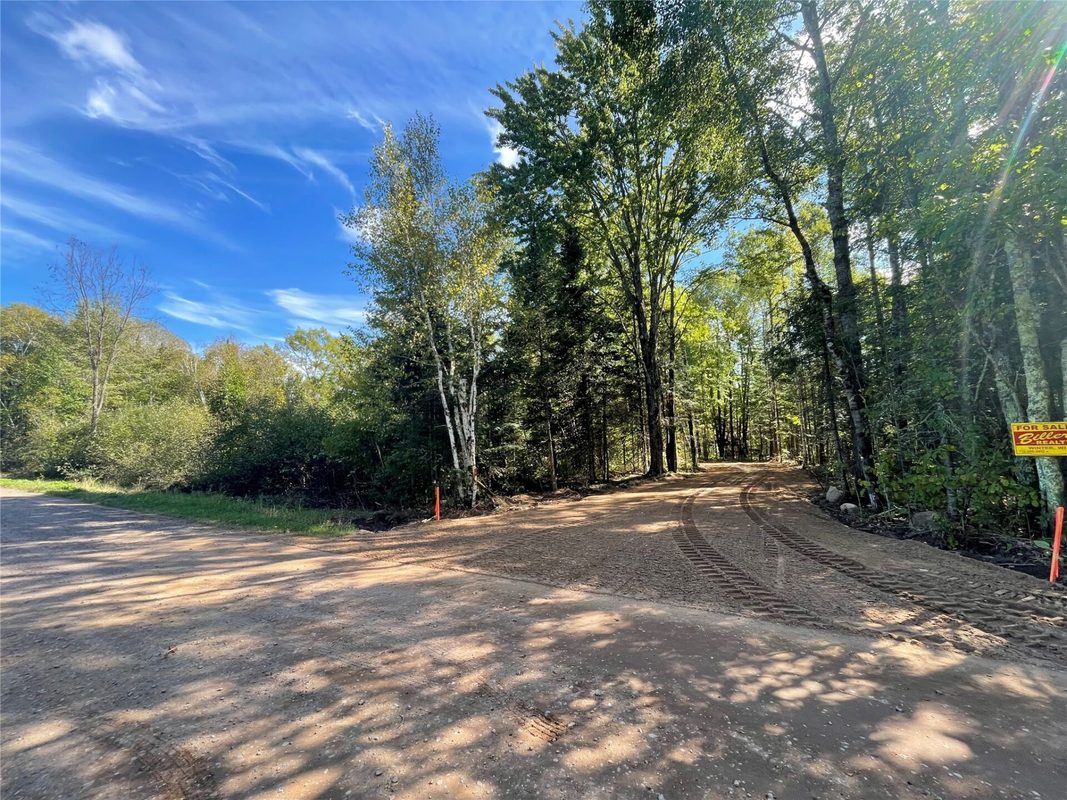 Lot 2 Fadness Road, Winter WI 54896 - Land house for sale - MLS #1605242 - image2
