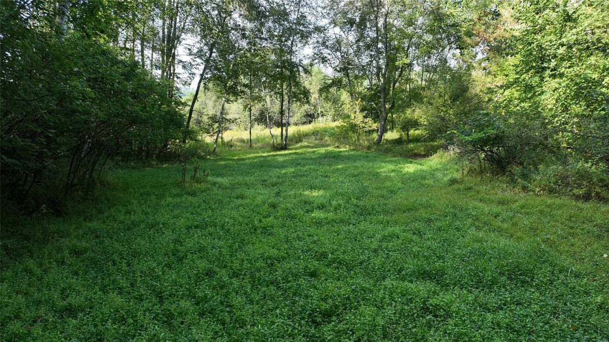 XX County Rd O, Boyceville WI 54725 - Land house for sale - MLS #1604881 - image16