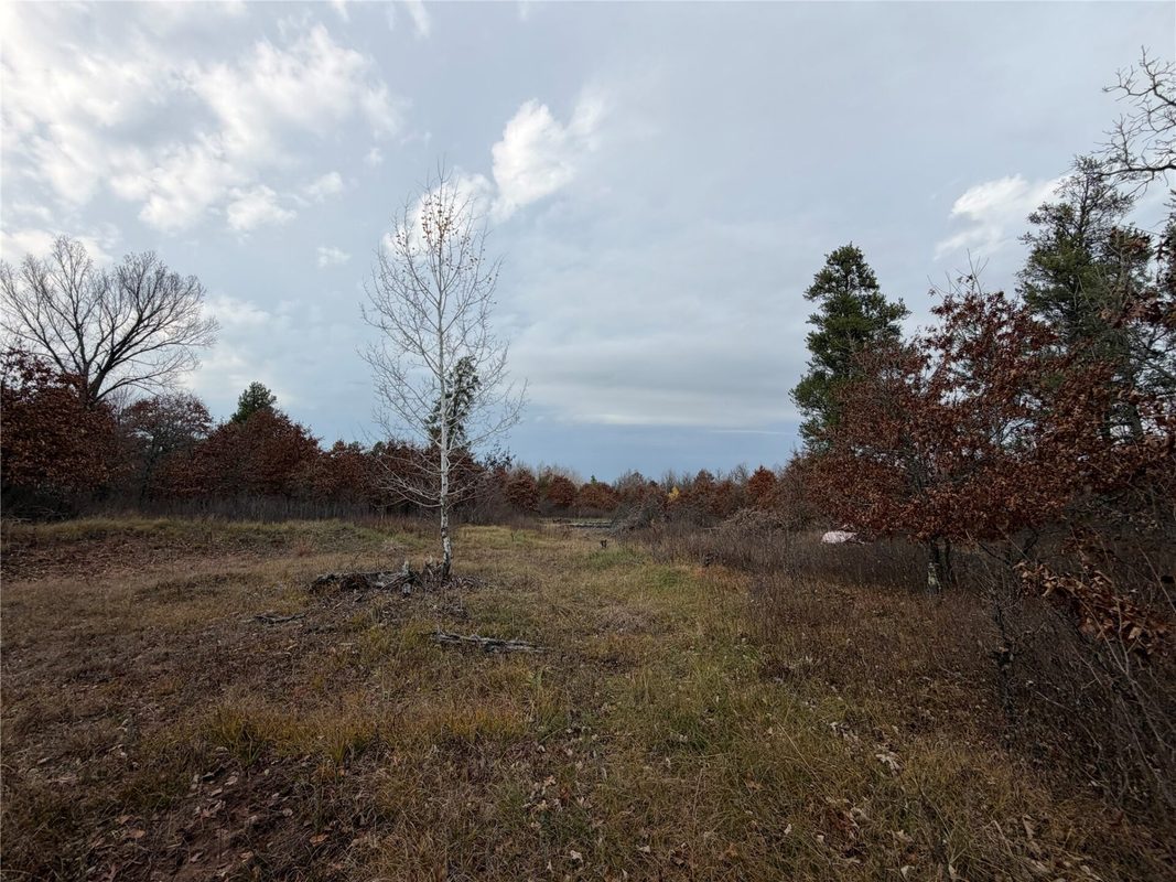 0000 280th Avenue, Sterling WI 54024 - Land house for sale - MLS #1606357 - image3