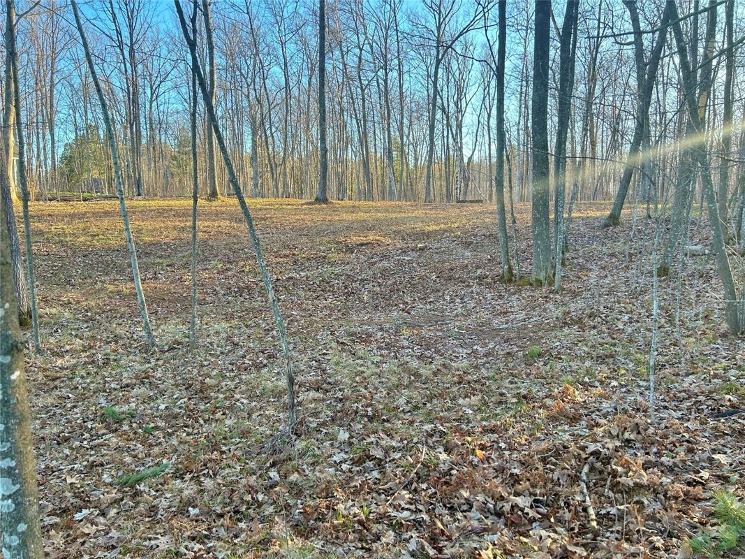 Land at 10358 White Bear Avenue, Hayward, WI 54843 — photo 7
