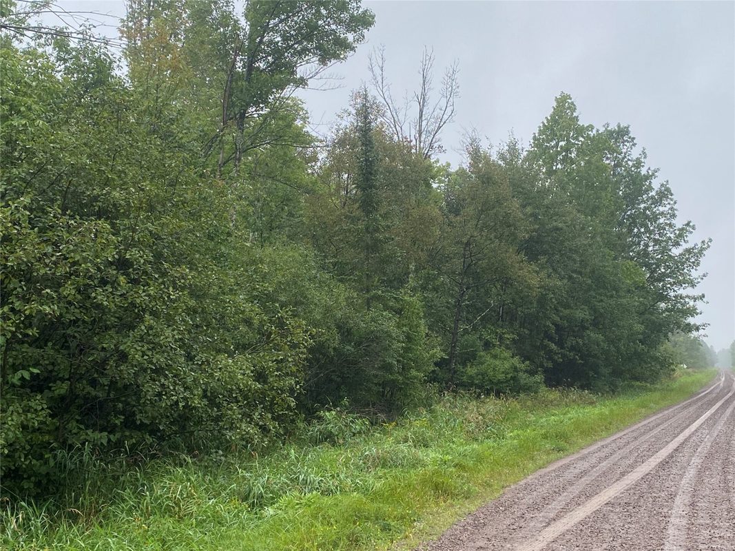 ON Pennington Road, Prentice WI 54556 - Land house for sale - MLS #1599132 - image3