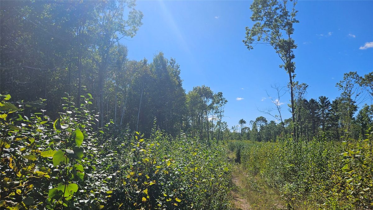 1-7 Larson Road, Hayward WI 54843 - Land house for sale - MLS #1605167 - image5