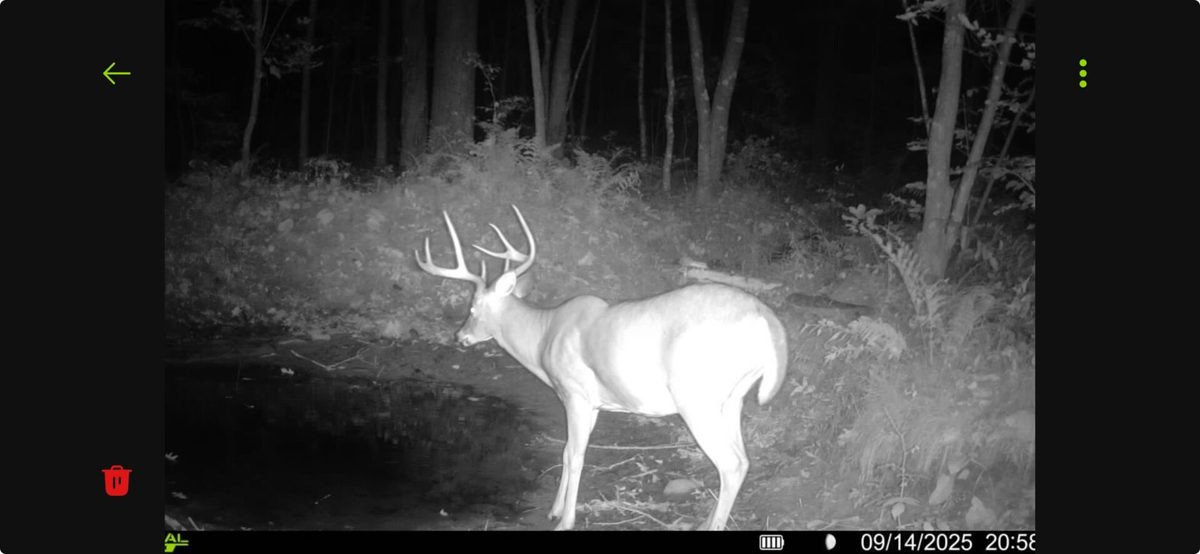 N8771 Fye Road, Trego, WI