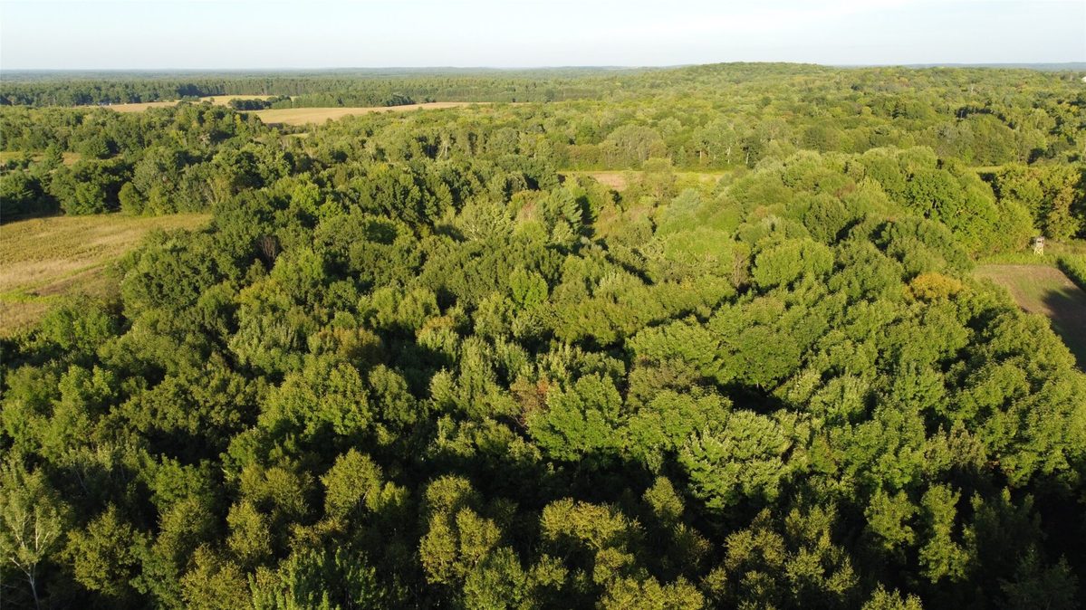 XX 340th, Clam Falls WI 54837 - Land house for sale - MLS #1605346 - image5