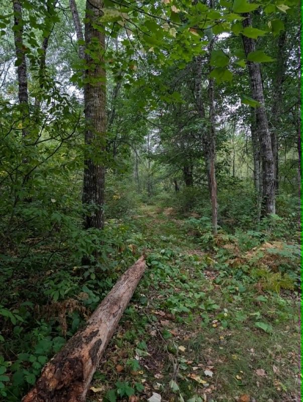 10501 County Hwy M Highway, Springbrook WI 54875 - Land house for sale - MLS #1604696 - image14