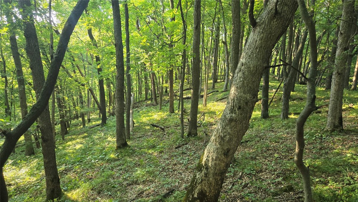 W02 State Highway 64, Colfax WI 54730 - Land house for sale - MLS #1604529 - image8