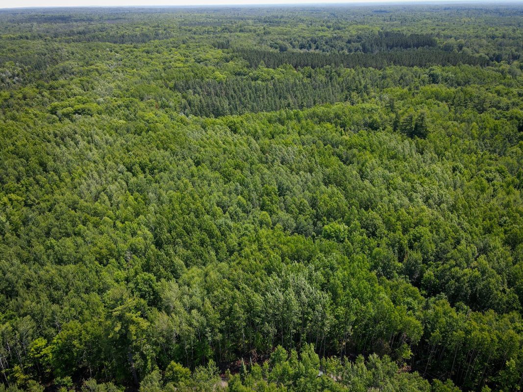 Parcel 6 County Road A, Solon Springs WI 54873 - Land house for sale - MLS #1602905 - image15