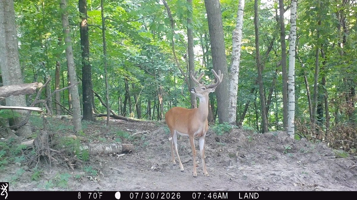 15.01 Acres 160th Avenue, Maiden Rock WI 54750 - Land house for sale - MLS #1604580 - image18