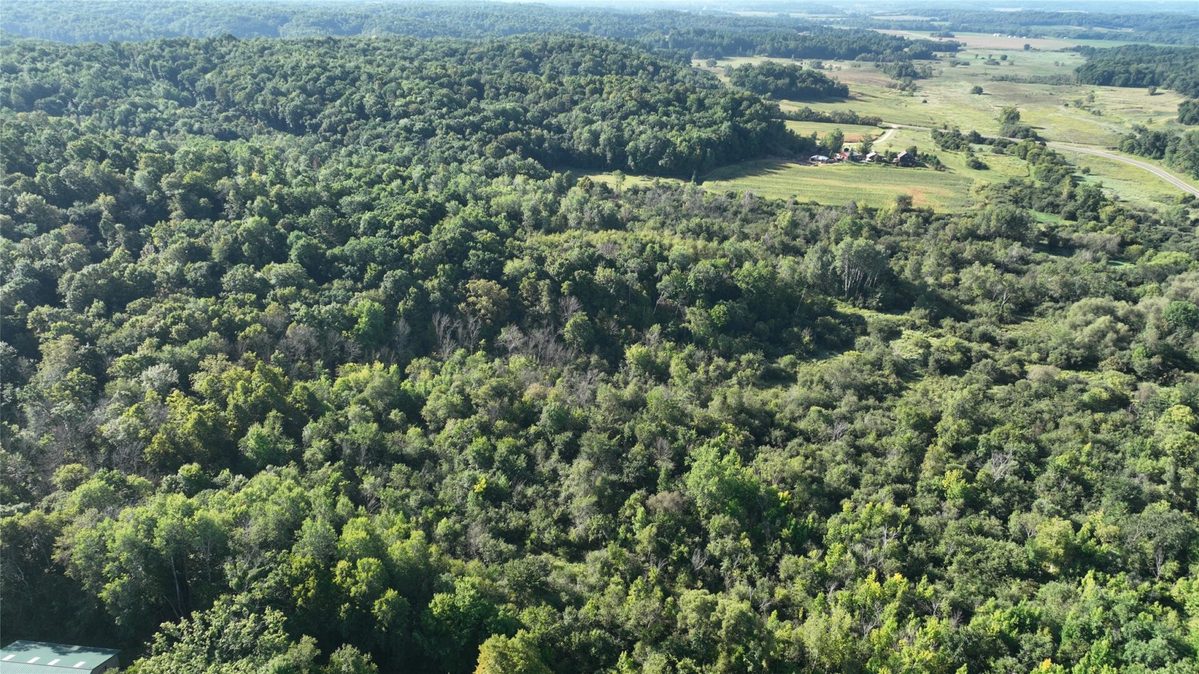 XX County Road O, Boyceville WI 54725 - Land house for sale - MLS #1604881 - image6