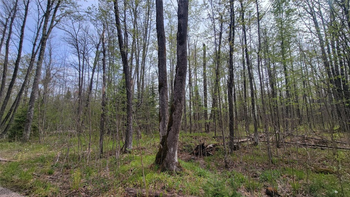 W10389 Fleming Road, Park Falls WI 54552 - Residential house for sale - MLS #1601372 - image21