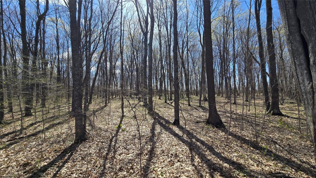 012345 26th Avenue, Rice Lake WI 54868 - Land house for sale - MLS #1602600 - image16