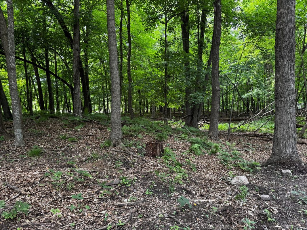 XXX County Road I, Balsam Lake WI 54810 - Land house for sale - MLS #1602879 - image9