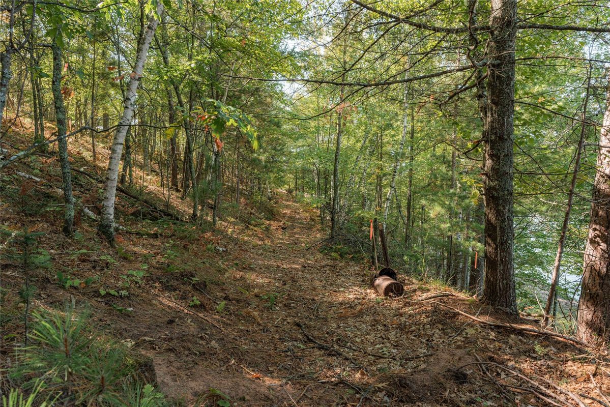 0 E Long Lake Road, Iron River WI 54856 - Land house for sale - MLS #1605717 - image9