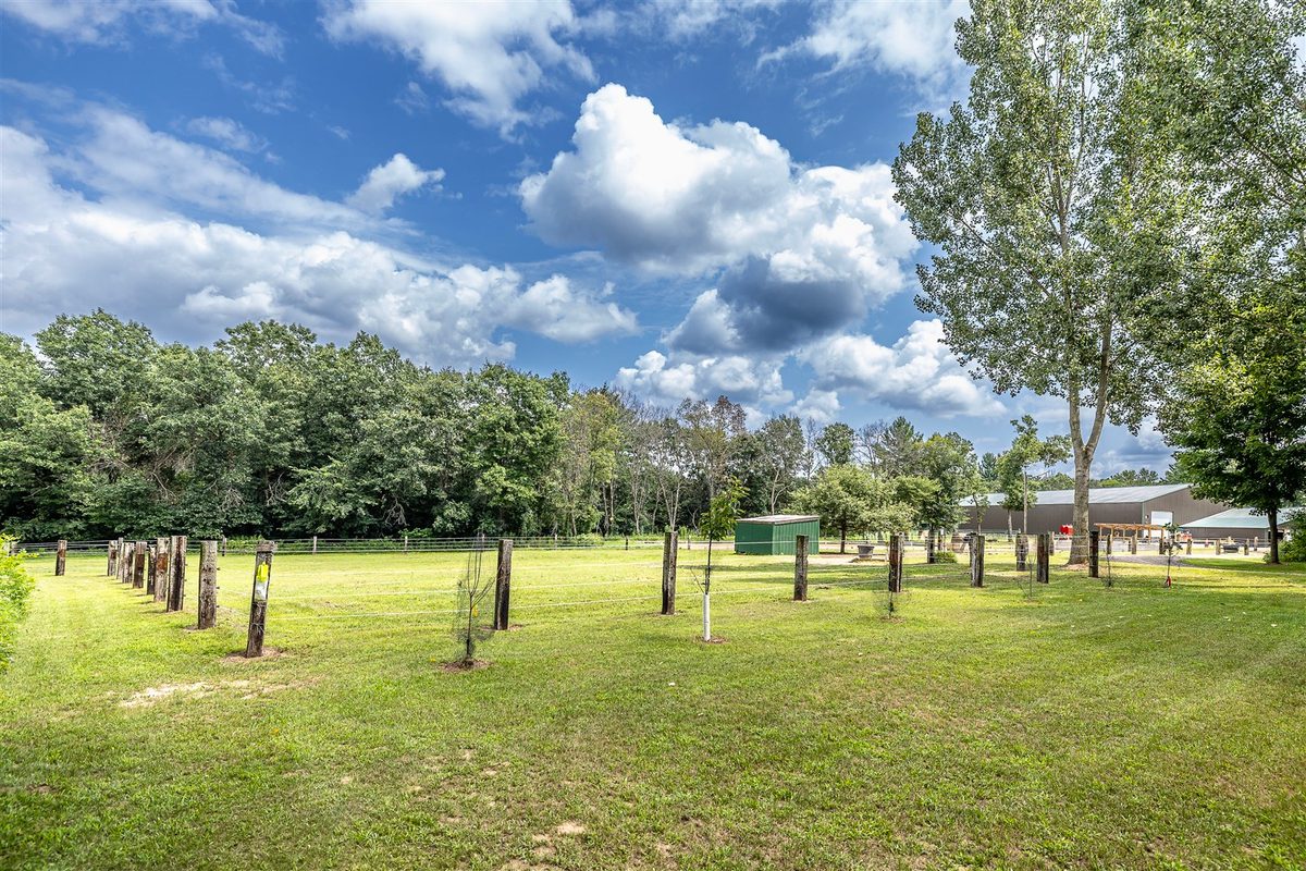 W15236 Taylor Road, Taylor WI 54659 - Residential house for sale - MLS #1603627 - image4