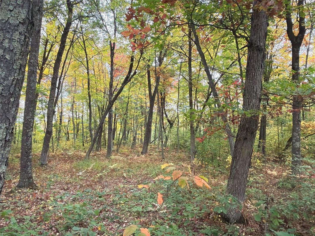 0 Klarquist Road, Webster WI 54840 - Land house for sale - MLS #1605651 - image12